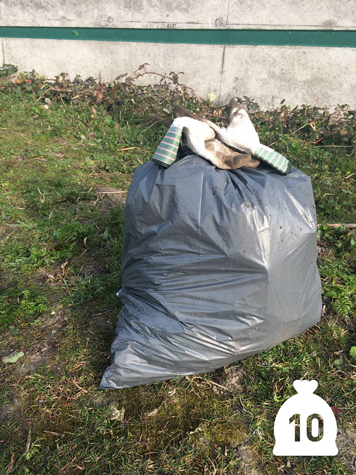 trash-picking-cleaning-project-littering-environmental-friendly-pigswegetwhatpigsdeserve-11