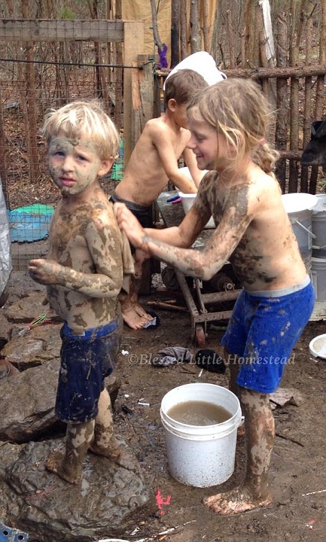 287EB9E300000578-3074746-_Free_range_The_children_live_a_back_to_basics_life_with_absolut-a-27_1431185788794