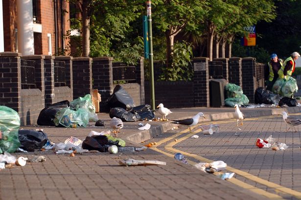 DHP_MAI_030115rubbish_01JPG