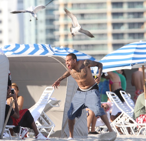 Singer Chris Brown is attacked by a seagull in Miami, USA