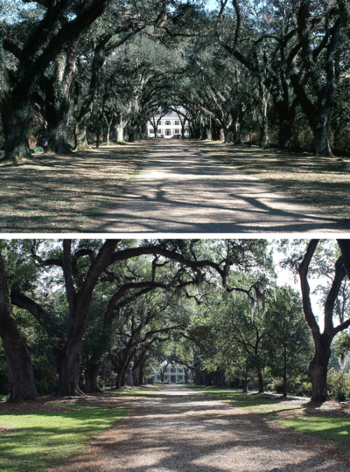 tumblr_n982xqEuIi1qzlu0jo1_500