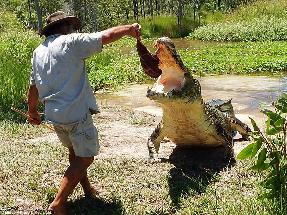 2B3DF09200000578-0-Rob_Bredl_left_coined_The_Barefoot_Bushman_has_been_bitten_more_-a-78_1439210221409