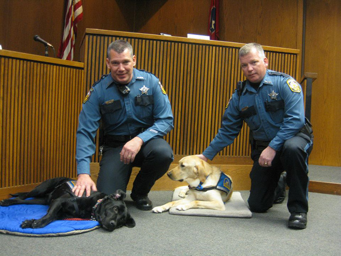 courthouse-dogs-calm-witness-victim-ellen-oneill-celeste-walsen-33