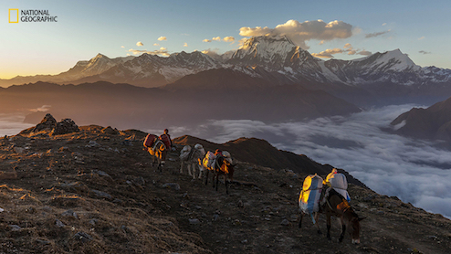 Sunset Mountain Work