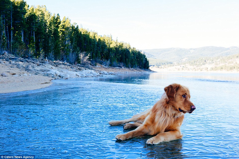 2E21906600000578-3305041-Originally_Hunter_had_been_reluctant_to_start_a_social_media_fee-a-8_1446719831290