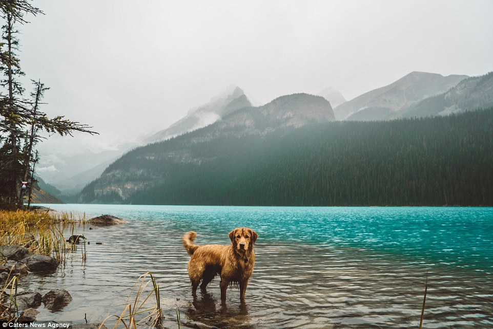 2E21909100000578-3305041-The_couple_started_an_Instagram_to_document_their_dog_s_adventur-a-7_1446719831289