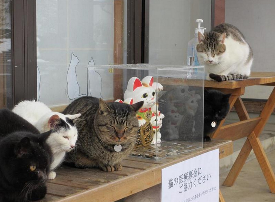 8_副本