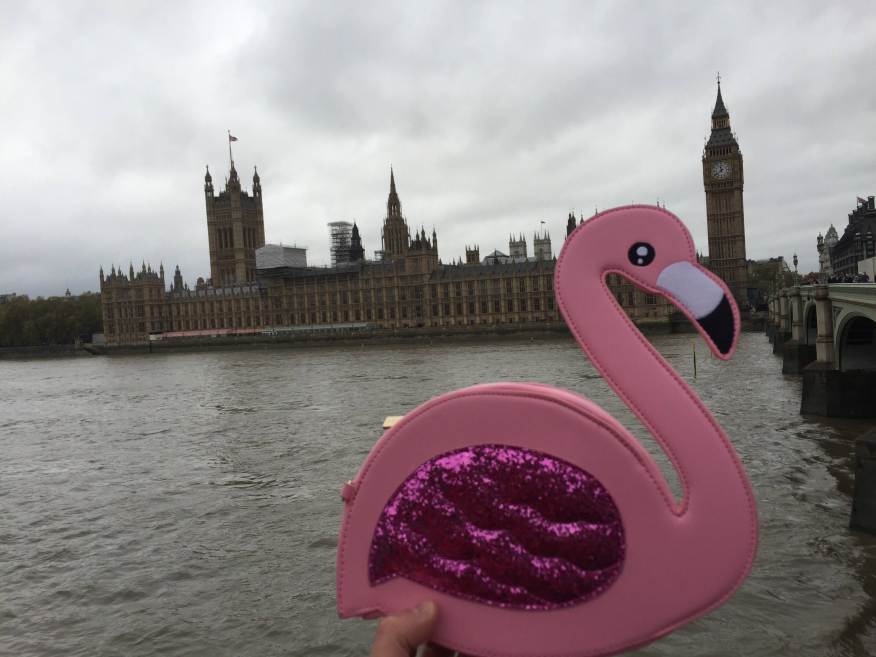 atlbeer-houses-parliament-elizabeth-tower-flamingo