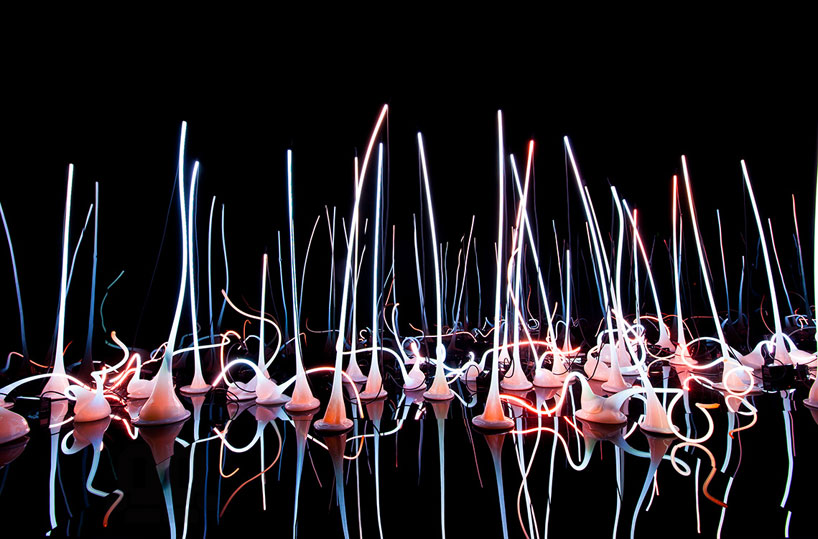 dale-chihuly-utterly-breathtaking-montreal05