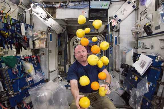 kelly-fresh-fruit-iss
