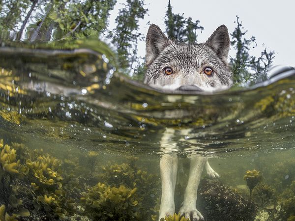 national_geographic_photo_of_the_day_12