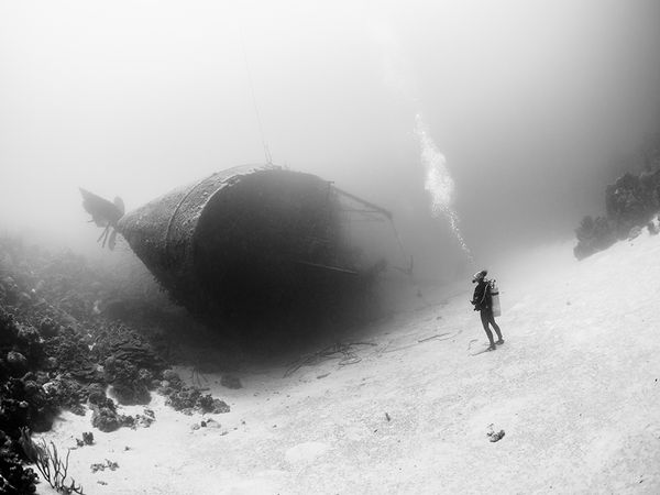 national_geographic_photo_of_the_day_14