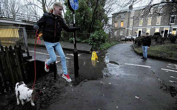 Puddle_with_dog_3542825b