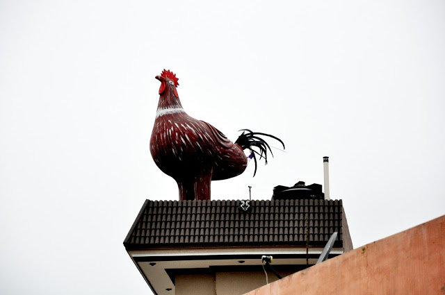 hen