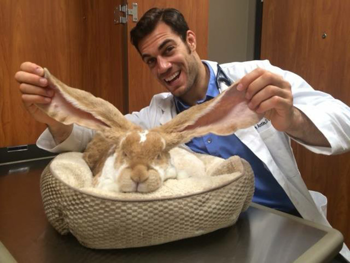 hottest-vet-pet-doctor-evan-antin-california-3201__700