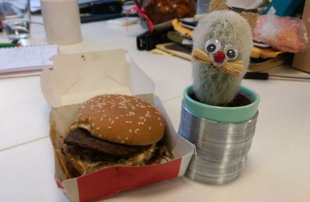 pet-big-mac-with-cactus