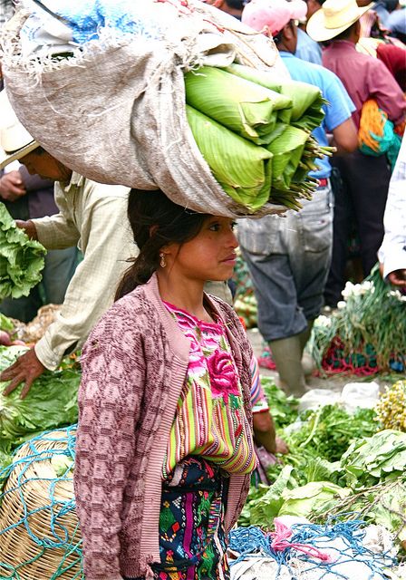 45e09257b3e62fd6122aa8b0a4017e51