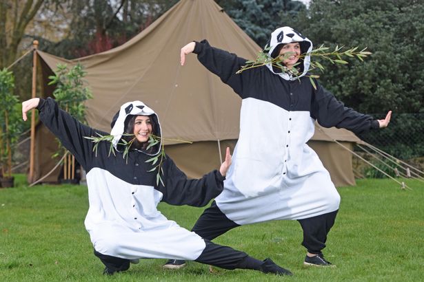 PAY-A-zoo-which-has-no-pandas-is-training-humans-to-dress-up-as-them-so-visitors-can-experience-what-it-is-like-to