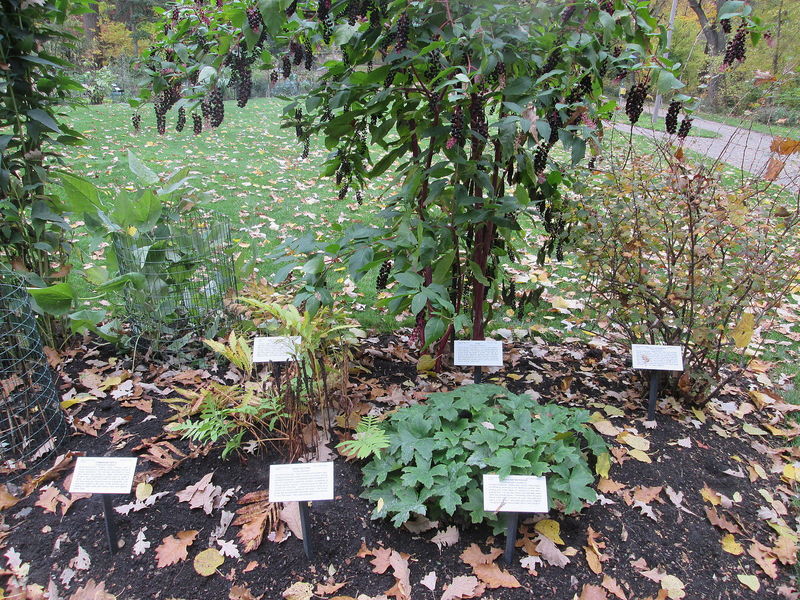 image (2)