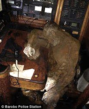 31AEDE9500000578-0-His_decomposing_body_was_found_near_to_the_radio_telephone_as_if-a-42_1456763313835