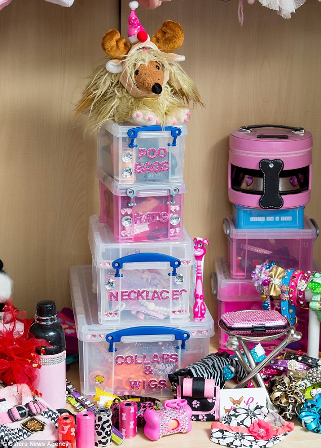 32730B1300000578-3504177-Her_wardrobe_is_neatly_organised_with_her_various_accessories_st-a-26_1458647742902