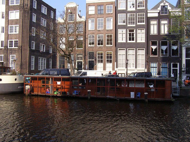 Cat-Boat-Amsterdam2