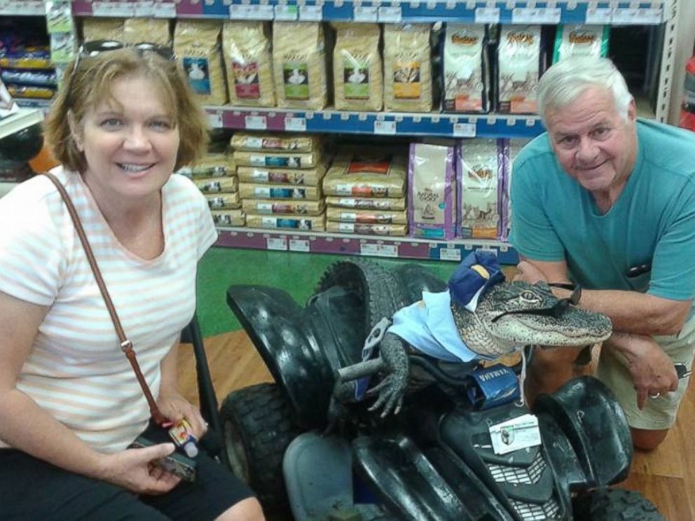 HT_pet_alligator_08_mm_160317_4x3_992