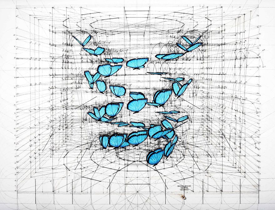 Architect-reveals-the-secret-of-natures-beautiful-designs-in-a-hand-drawn-coloring-book-56fbaed523644__880