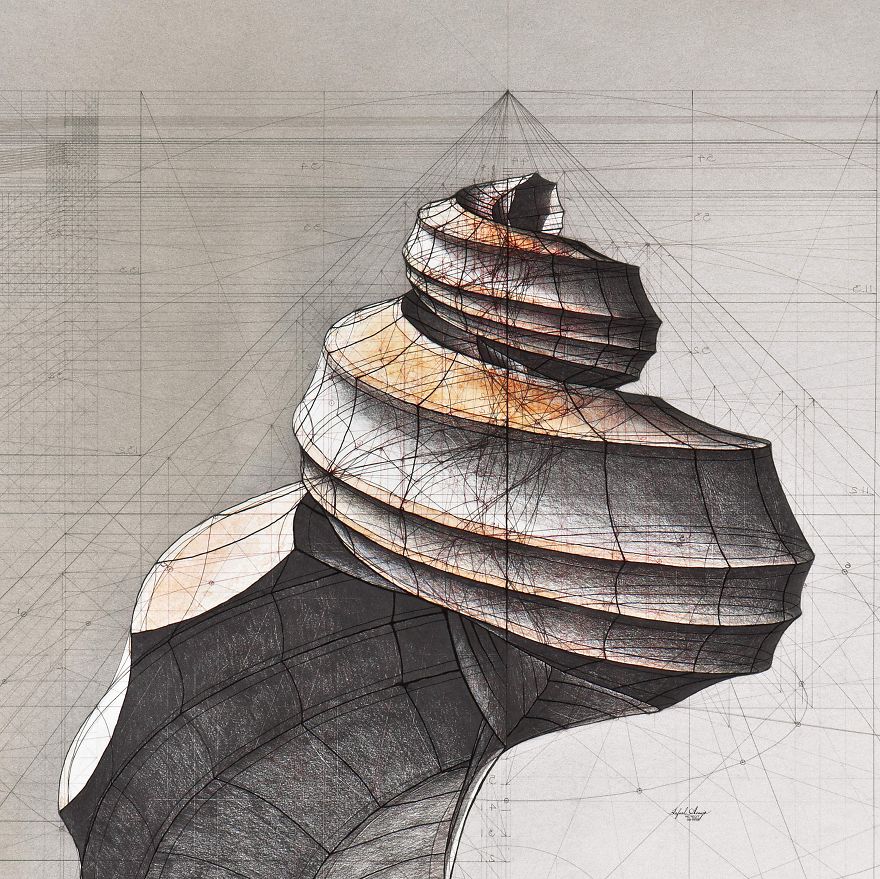 Architect-reveals-the-secret-of-natures-beautiful-designs-in-a-hand-drawn-coloring-book-56fbb5f56733c__880