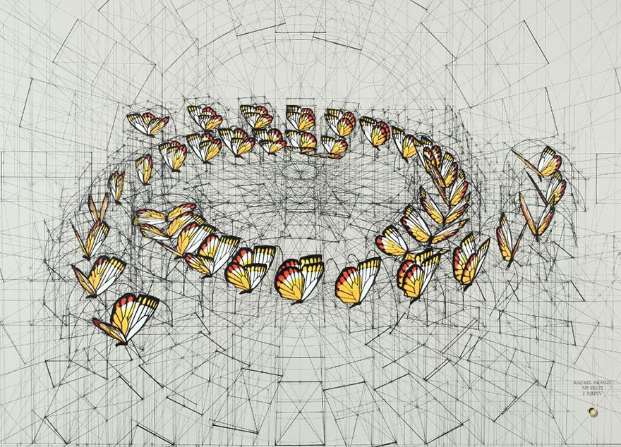architect-reveals-the-secret-of-natures-beautiful-designs-in-a-hand-drawn-coloring-book-1