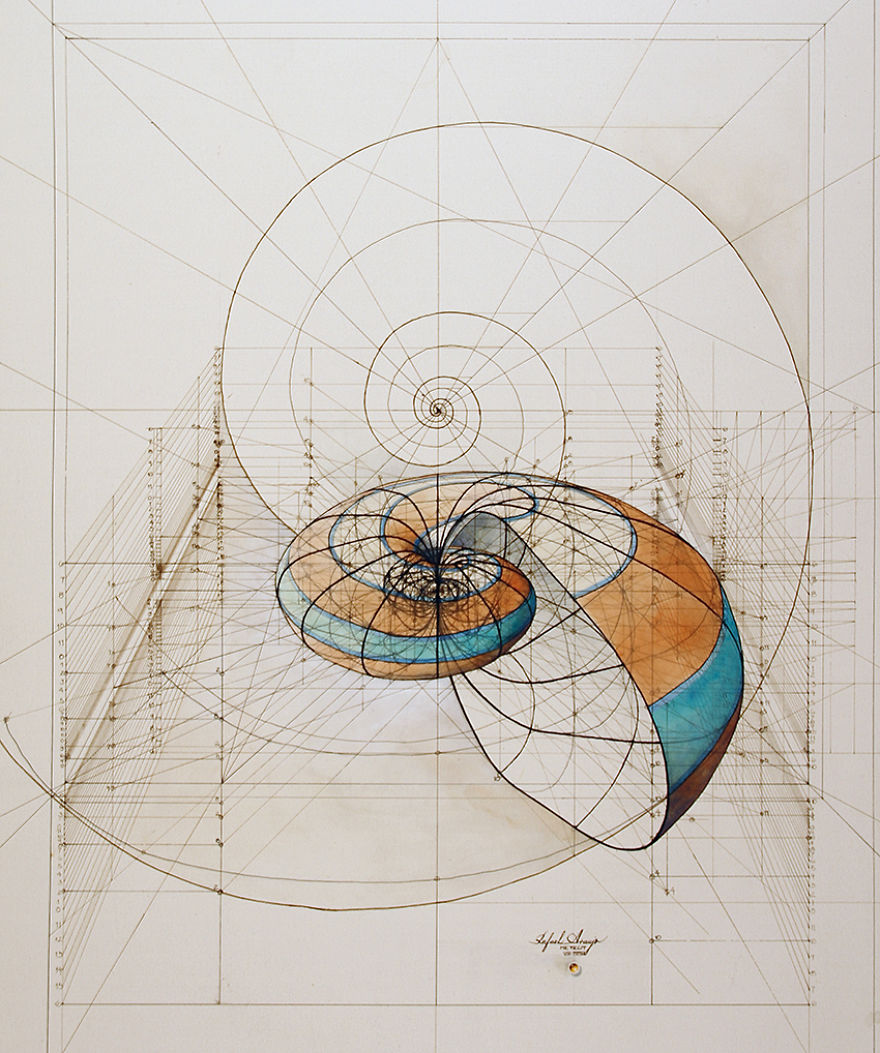 architect-reveals-the-secret-of-natures-beautiful-designs-in-a-hand-drawn-coloring-book-2__880