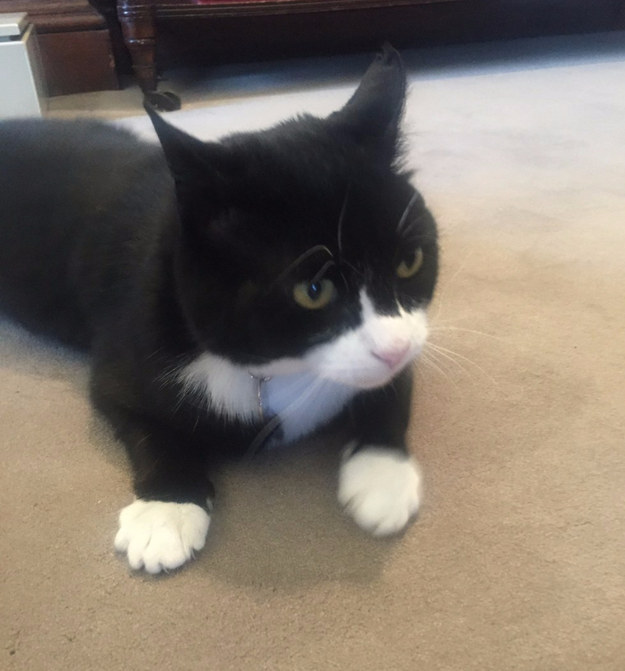 edit-28638-1460552589-4