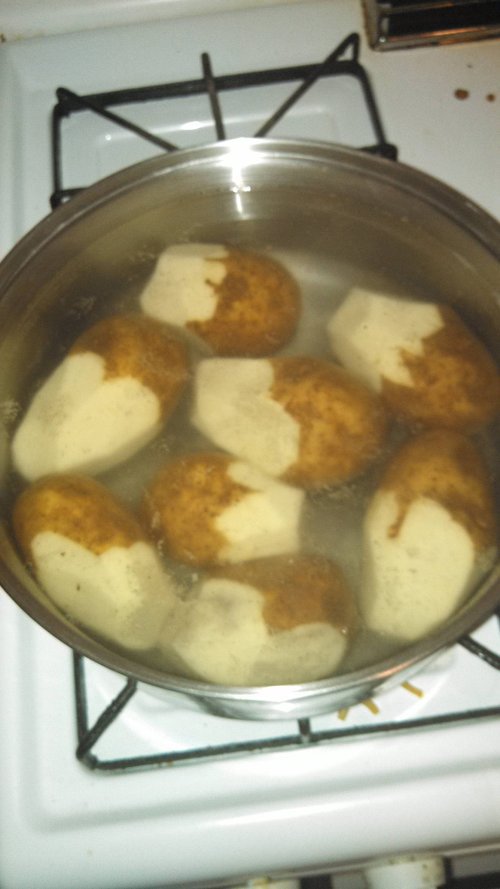 food-fail-1