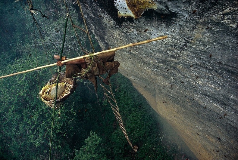 honey-hunters-nepal-3