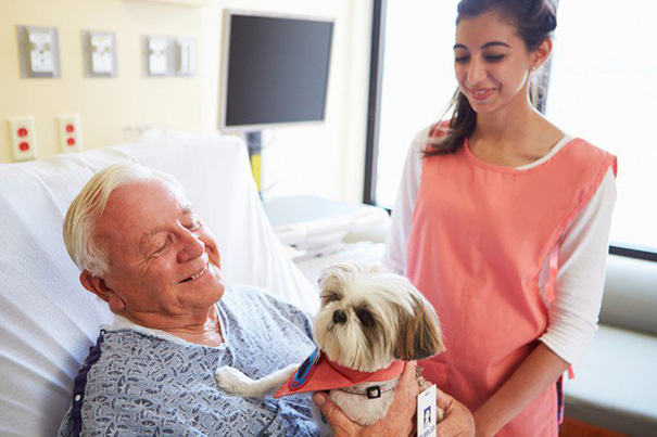 hospital-pets-allowed-animal-therapy-zacharys-paws-for-healing-juravinski-10