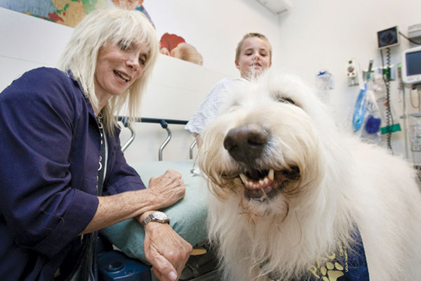 hospital-pets-allowed-animal-therapy-zacharys-paws-for-healing-juravinski-18