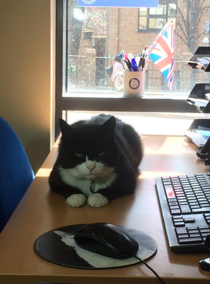 微信截图_20160414093530