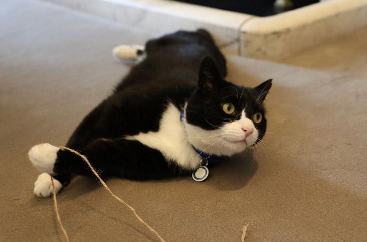 微信截图_20160414093847