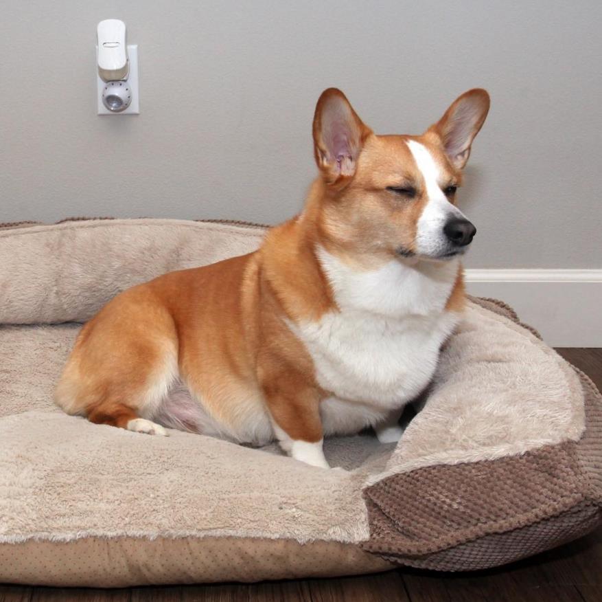 微信截图_20160420131208