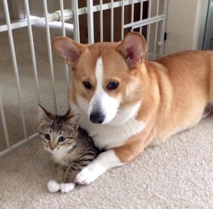 微信截图_20160420132351