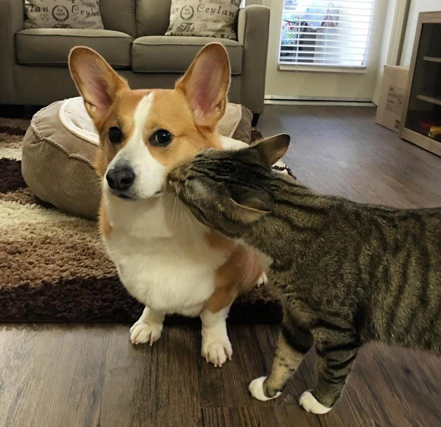 微信截图_20160420132639