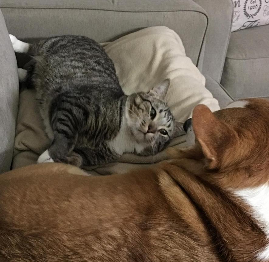 微信截图_20160420132656