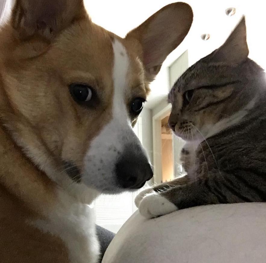 微信截图_20160420132721