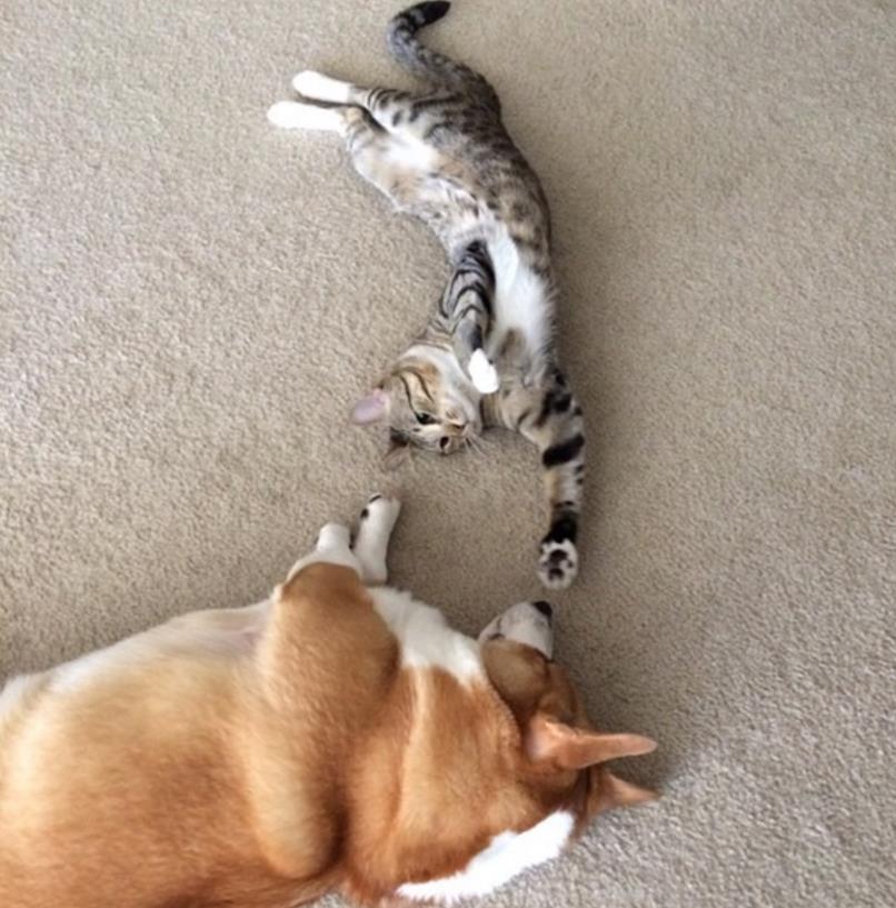 微信截图_20160420133050