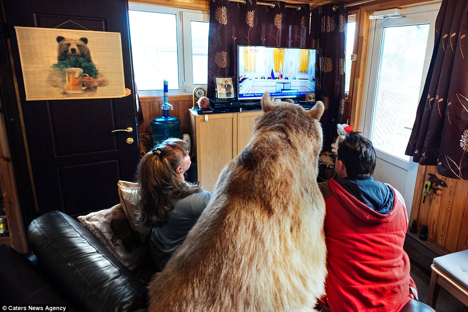 34BD93CA00000578-3614880-Trust_The_couple_say_the_bear_is_so_domesticated_he_sits_down_wi-a-62_1464513300097
