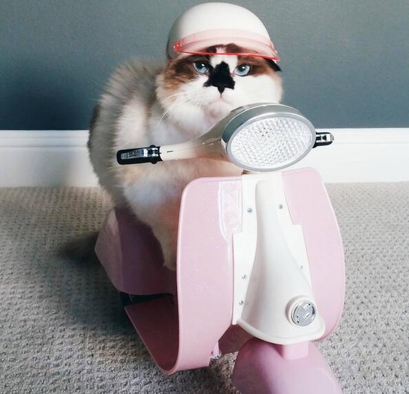 QQ截图20160517232245