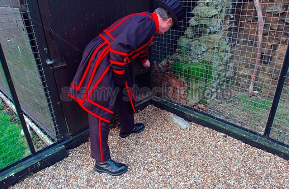 image014