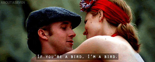 the-notebook-bird