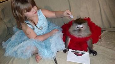 10574319_10204759716747500_3195374553647408953_n