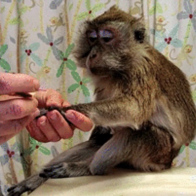 11355945_1003891892976704_1780087000_n